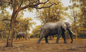  Elefant Arte - meandro del elefante